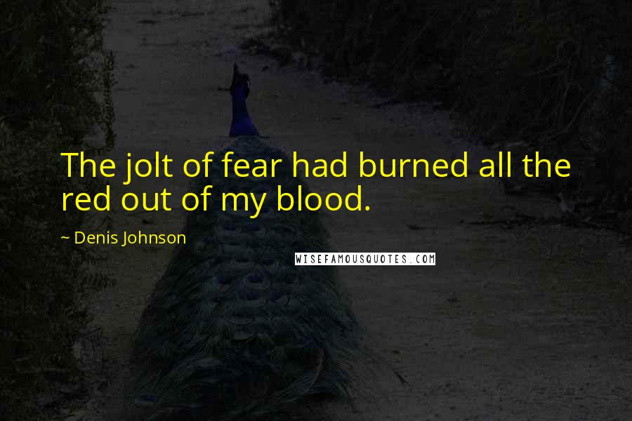 Denis Johnson Quotes: The jolt of fear had burned all the red out of my blood.