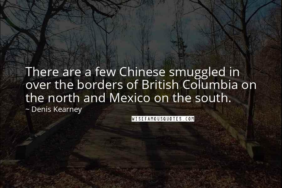 Denis Kearney Quotes: There are a few Chinese smuggled in over the borders of British Columbia on the north and Mexico on the south.