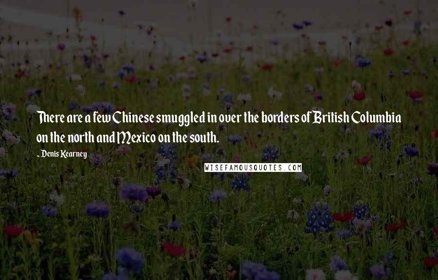 Denis Kearney Quotes: There are a few Chinese smuggled in over the borders of British Columbia on the north and Mexico on the south.