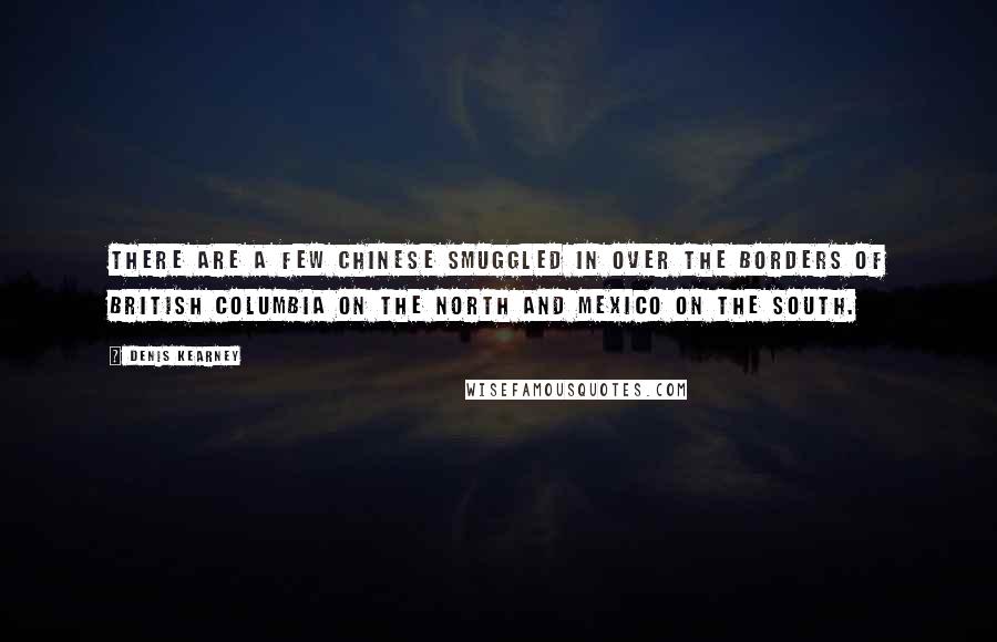 Denis Kearney Quotes: There are a few Chinese smuggled in over the borders of British Columbia on the north and Mexico on the south.