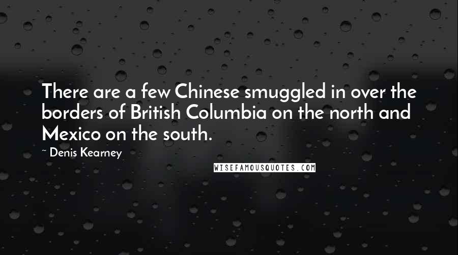 Denis Kearney Quotes: There are a few Chinese smuggled in over the borders of British Columbia on the north and Mexico on the south.