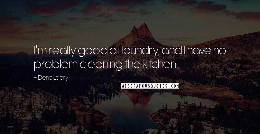 Denis Leary Quotes: I'm really good at laundry, and I have no problem cleaning the kitchen.