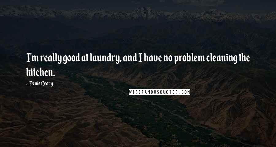Denis Leary Quotes: I'm really good at laundry, and I have no problem cleaning the kitchen.