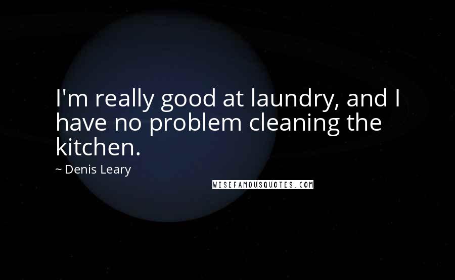 Denis Leary Quotes: I'm really good at laundry, and I have no problem cleaning the kitchen.