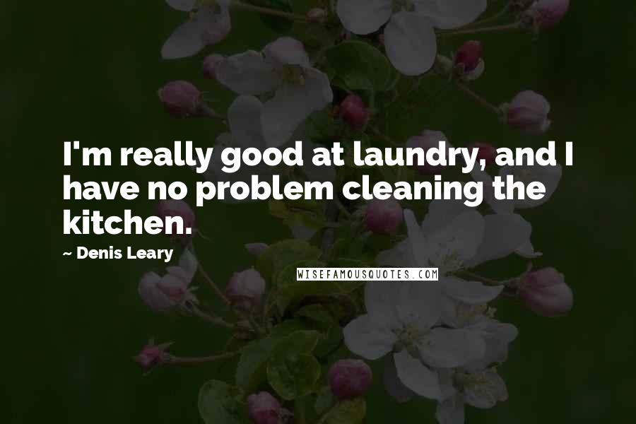 Denis Leary Quotes: I'm really good at laundry, and I have no problem cleaning the kitchen.