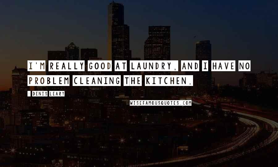 Denis Leary Quotes: I'm really good at laundry, and I have no problem cleaning the kitchen.
