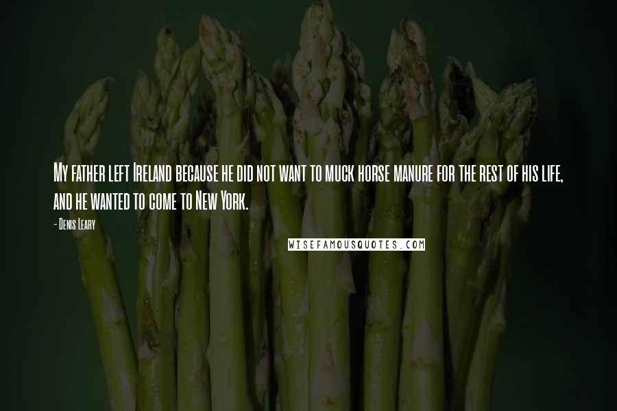 Denis Leary Quotes: My father left Ireland because he did not want to muck horse manure for the rest of his life, and he wanted to come to New York.