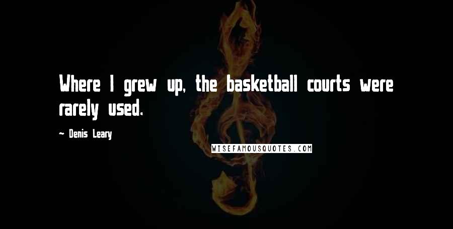 Denis Leary Quotes: Where I grew up, the basketball courts were rarely used.