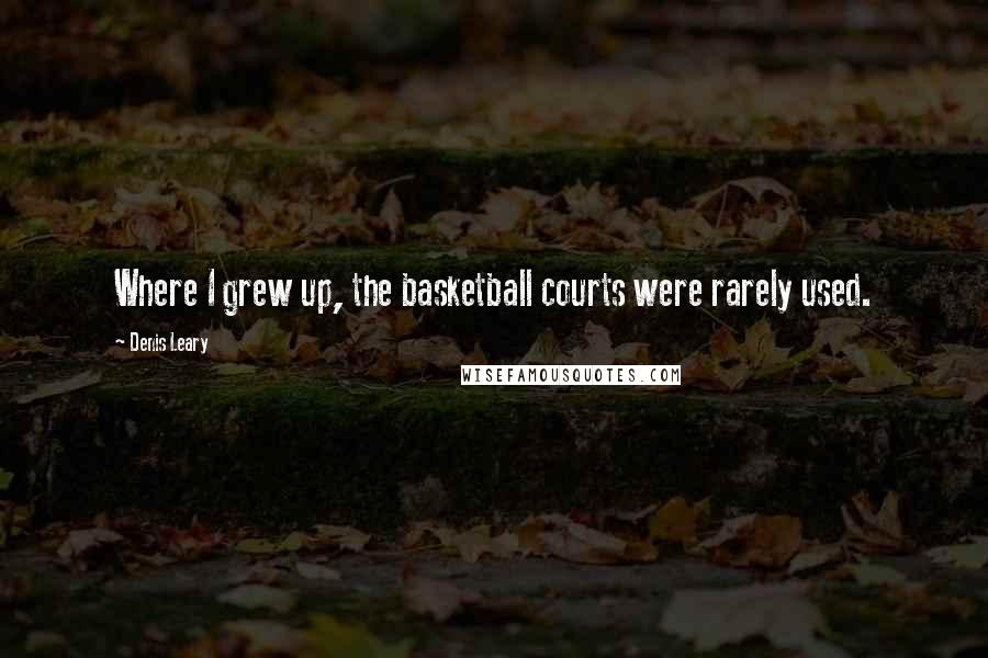 Denis Leary Quotes: Where I grew up, the basketball courts were rarely used.