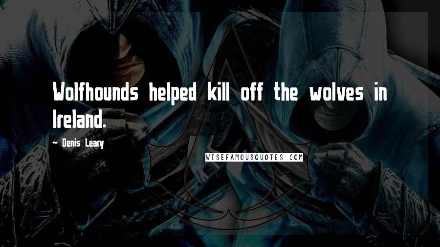 Denis Leary Quotes: Wolfhounds helped kill off the wolves in Ireland.