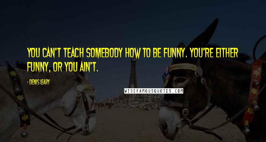 Denis Leary Quotes: You can't teach somebody how to be funny. You're either funny, or you ain't.