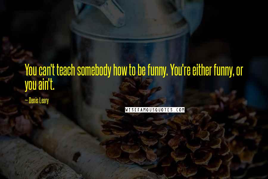 Denis Leary Quotes: You can't teach somebody how to be funny. You're either funny, or you ain't.
