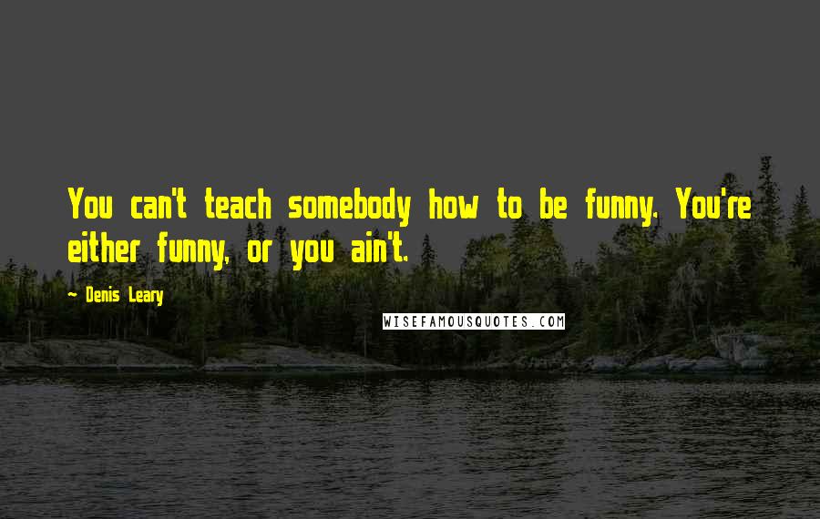 Denis Leary Quotes: You can't teach somebody how to be funny. You're either funny, or you ain't.