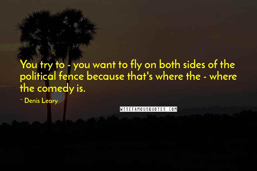 Denis Leary Quotes: You try to - you want to fly on both sides of the political fence because that's where the - where the comedy is.