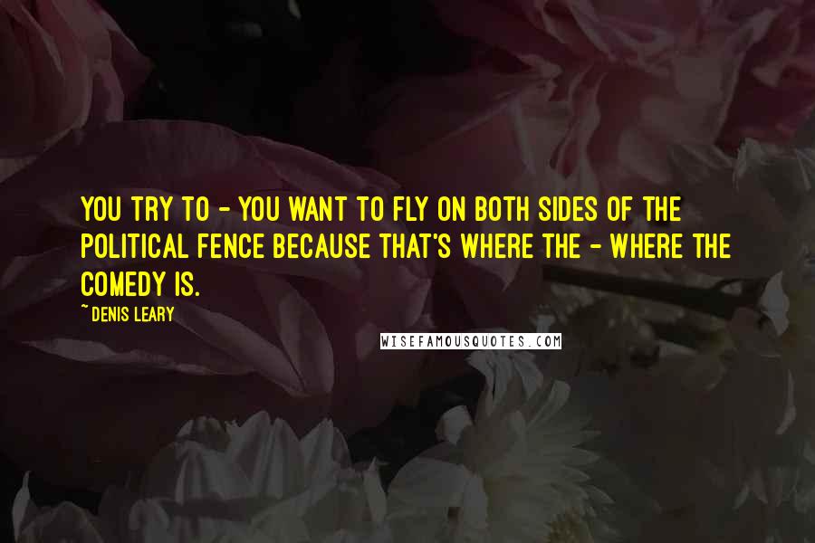 Denis Leary Quotes: You try to - you want to fly on both sides of the political fence because that's where the - where the comedy is.