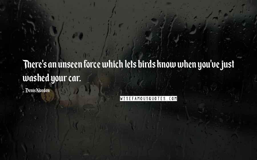 Denis Norden Quotes: There's an unseen force which lets birds know when you've just washed your car.