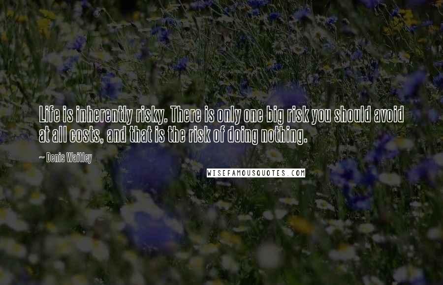 Denis Waitley Quotes: Life is inherently risky. There is only one big risk you should avoid at all costs, and that is the risk of doing nothing.
