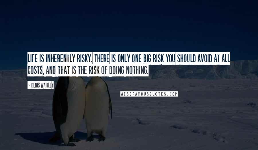 Denis Waitley Quotes: Life is inherently risky. There is only one big risk you should avoid at all costs, and that is the risk of doing nothing.