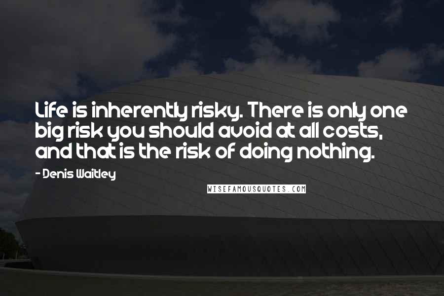Denis Waitley Quotes: Life is inherently risky. There is only one big risk you should avoid at all costs, and that is the risk of doing nothing.