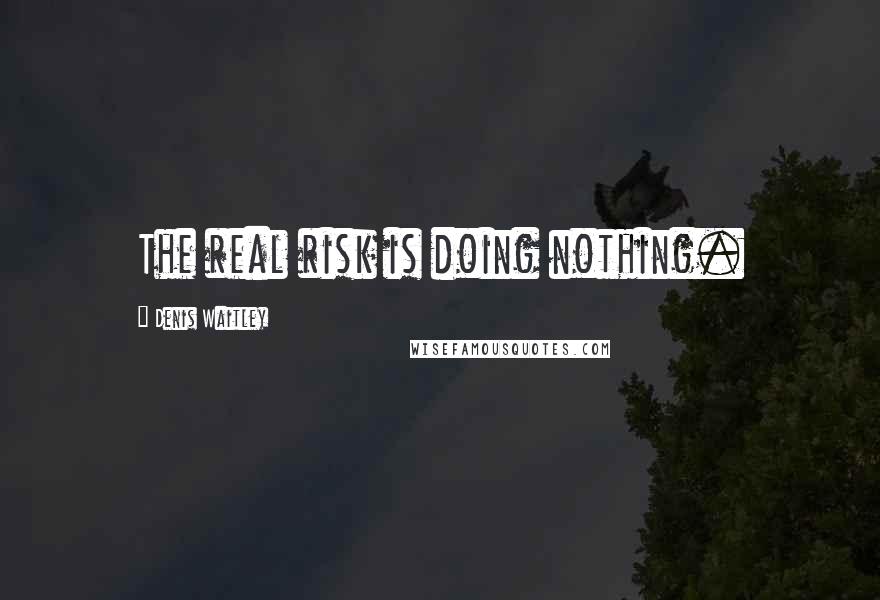 Denis Waitley Quotes: The real risk is doing nothing.