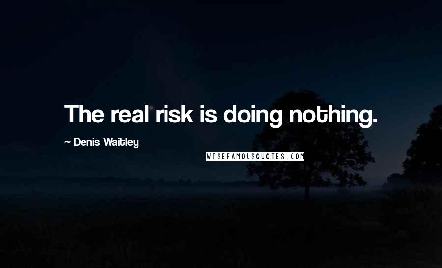 Denis Waitley Quotes: The real risk is doing nothing.