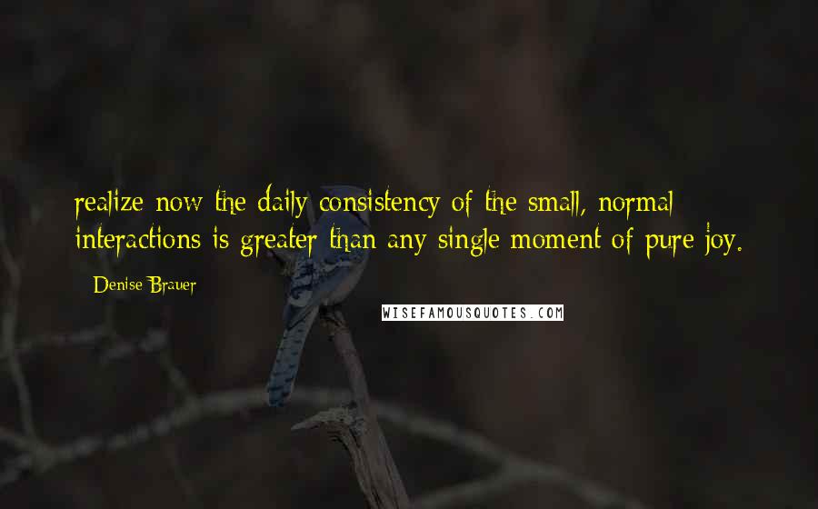 Denise Brauer Quotes: realize now the daily consistency of the small, normal interactions is greater than any single moment of pure joy.