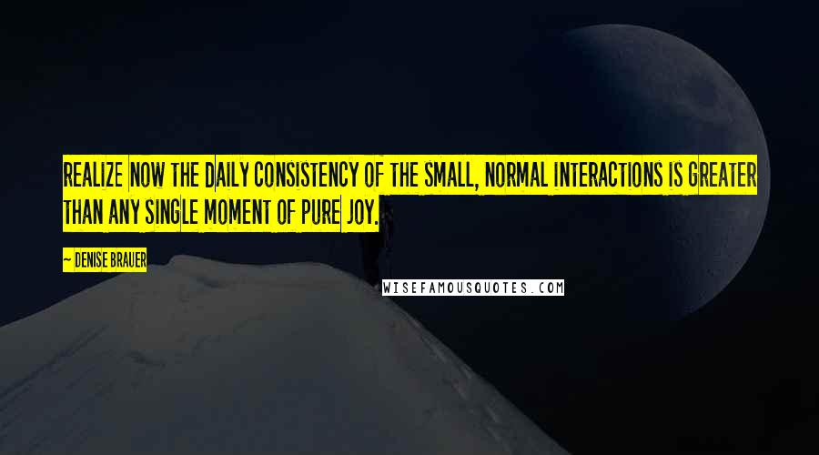 Denise Brauer Quotes: realize now the daily consistency of the small, normal interactions is greater than any single moment of pure joy.