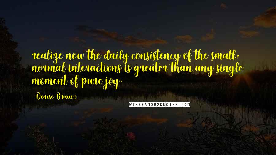 Denise Brauer Quotes: realize now the daily consistency of the small, normal interactions is greater than any single moment of pure joy.