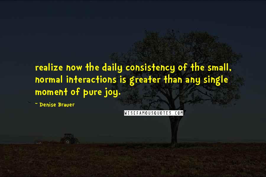 Denise Brauer Quotes: realize now the daily consistency of the small, normal interactions is greater than any single moment of pure joy.