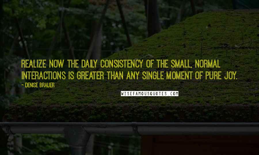 Denise Brauer Quotes: realize now the daily consistency of the small, normal interactions is greater than any single moment of pure joy.