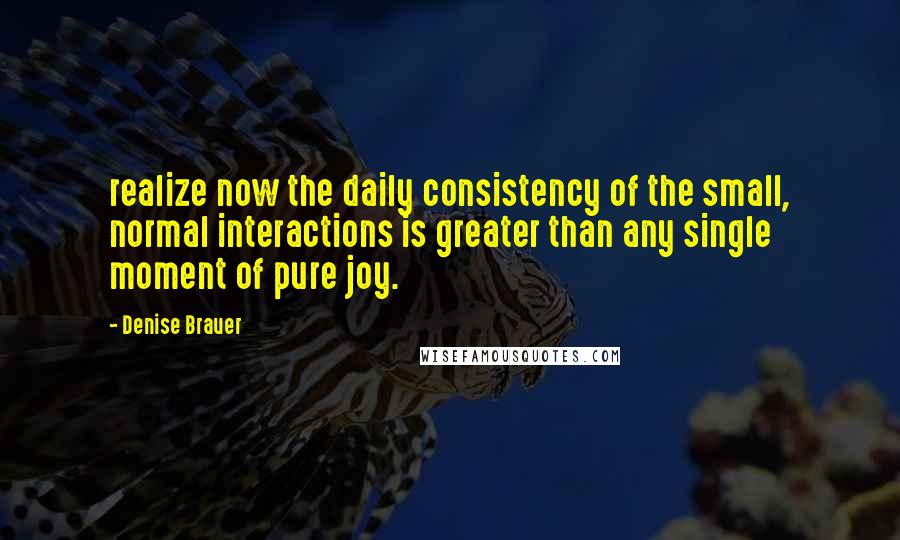 Denise Brauer Quotes: realize now the daily consistency of the small, normal interactions is greater than any single moment of pure joy.