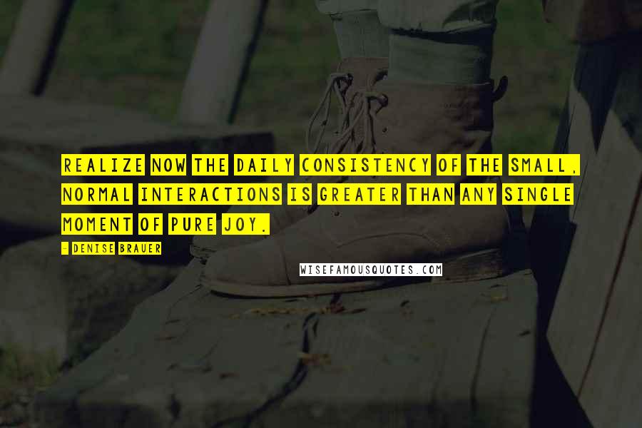 Denise Brauer Quotes: realize now the daily consistency of the small, normal interactions is greater than any single moment of pure joy.