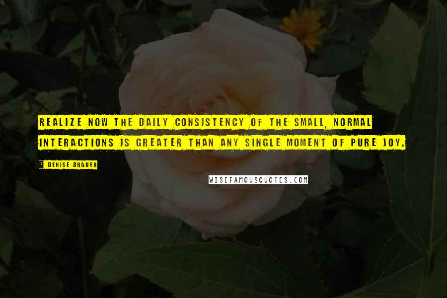 Denise Brauer Quotes: realize now the daily consistency of the small, normal interactions is greater than any single moment of pure joy.