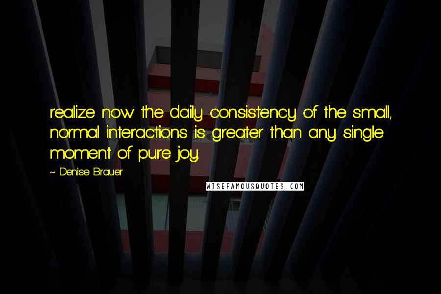 Denise Brauer Quotes: realize now the daily consistency of the small, normal interactions is greater than any single moment of pure joy.