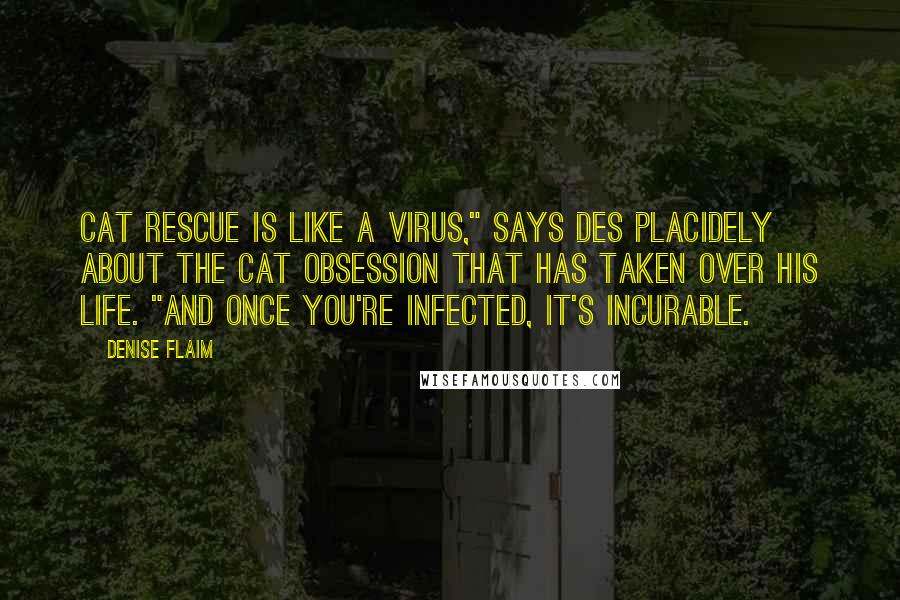 Denise Flaim Quotes: Cat rescue is like a virus," says Des placidely about the cat obsession that has taken over his life. "And once you're infected, it's incurable.