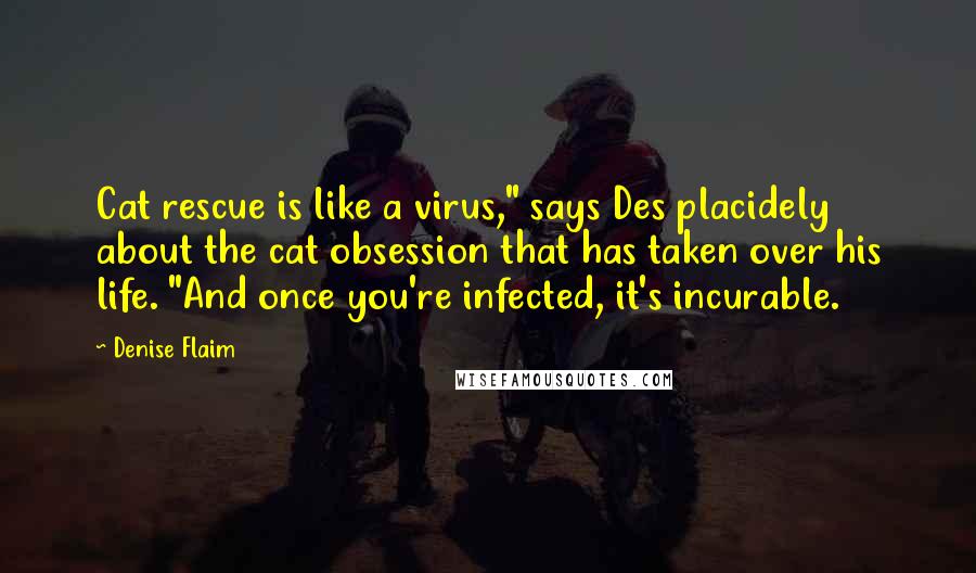 Denise Flaim Quotes: Cat rescue is like a virus," says Des placidely about the cat obsession that has taken over his life. "And once you're infected, it's incurable.