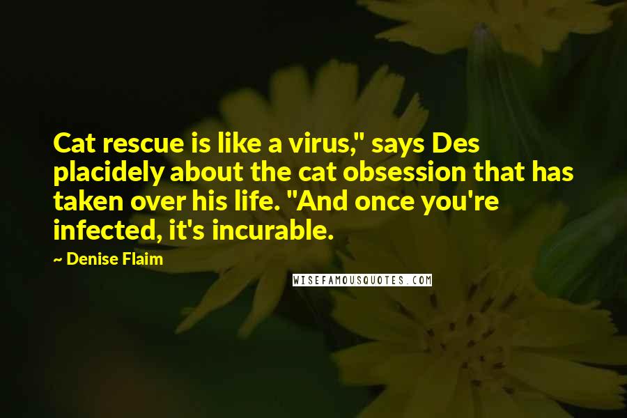 Denise Flaim Quotes: Cat rescue is like a virus," says Des placidely about the cat obsession that has taken over his life. "And once you're infected, it's incurable.