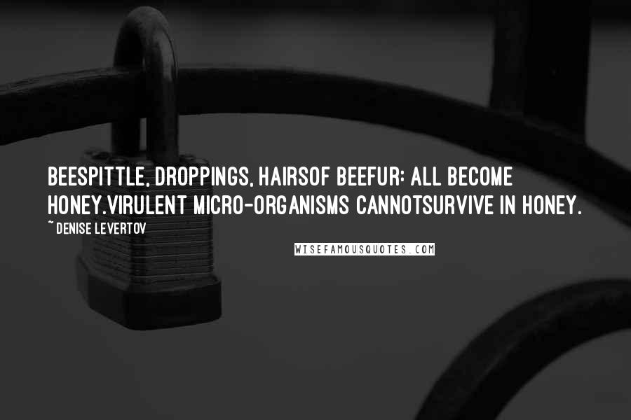 Denise Levertov Quotes: Beespittle, droppings, hairsof beefur: all become honey.Virulent micro-organisms cannotsurvive in honey.