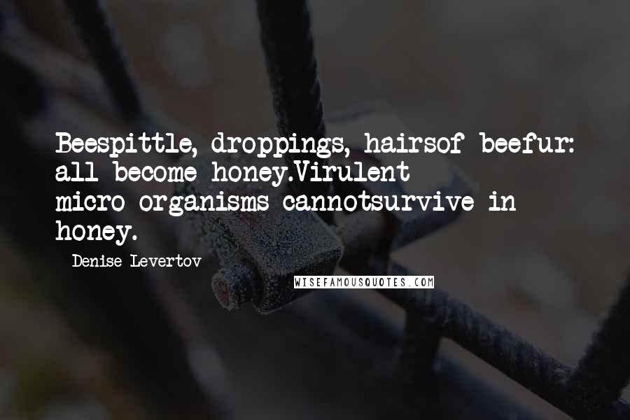 Denise Levertov Quotes: Beespittle, droppings, hairsof beefur: all become honey.Virulent micro-organisms cannotsurvive in honey.