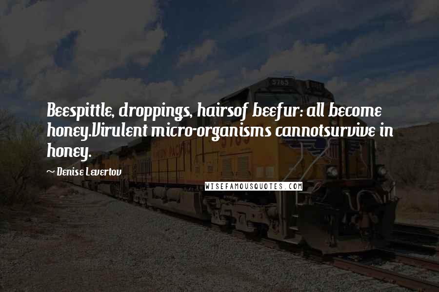 Denise Levertov Quotes: Beespittle, droppings, hairsof beefur: all become honey.Virulent micro-organisms cannotsurvive in honey.