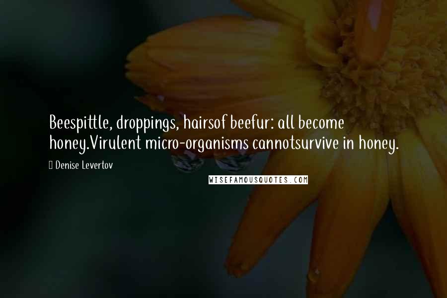 Denise Levertov Quotes: Beespittle, droppings, hairsof beefur: all become honey.Virulent micro-organisms cannotsurvive in honey.