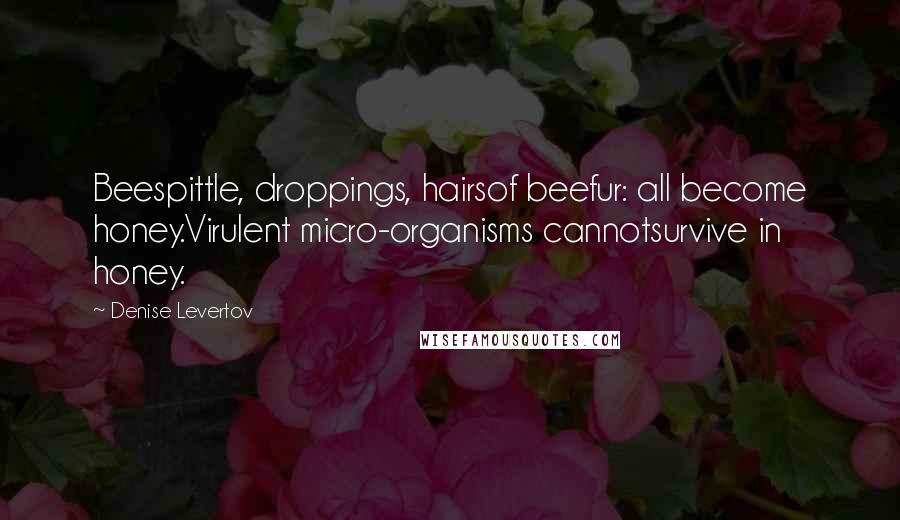 Denise Levertov Quotes: Beespittle, droppings, hairsof beefur: all become honey.Virulent micro-organisms cannotsurvive in honey.