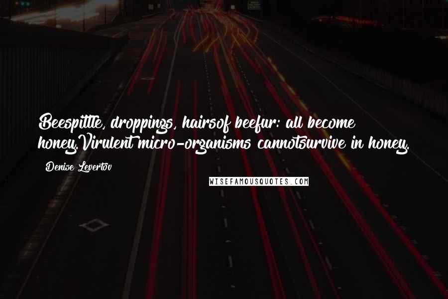 Denise Levertov Quotes: Beespittle, droppings, hairsof beefur: all become honey.Virulent micro-organisms cannotsurvive in honey.