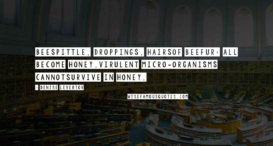 Denise Levertov Quotes: Beespittle, droppings, hairsof beefur: all become honey.Virulent micro-organisms cannotsurvive in honey.