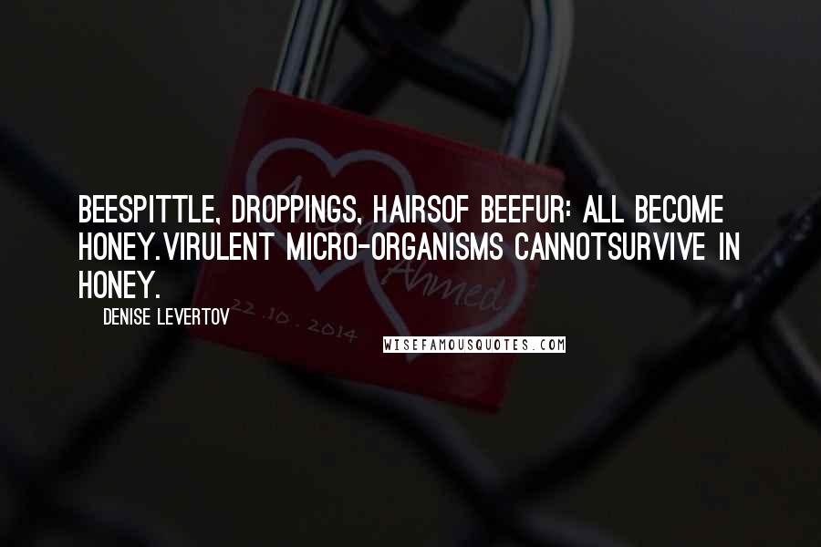 Denise Levertov Quotes: Beespittle, droppings, hairsof beefur: all become honey.Virulent micro-organisms cannotsurvive in honey.