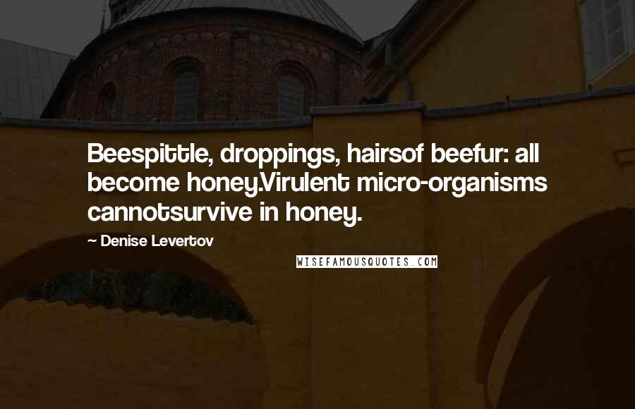 Denise Levertov Quotes: Beespittle, droppings, hairsof beefur: all become honey.Virulent micro-organisms cannotsurvive in honey.