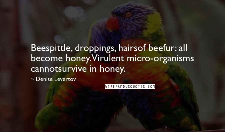 Denise Levertov Quotes: Beespittle, droppings, hairsof beefur: all become honey.Virulent micro-organisms cannotsurvive in honey.