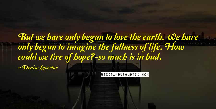 Denise Levertov Quotes: But we have only begun to love the earth. We have only begun to imagine the fullness of life. How could we tire of hope?-so much is in bud.