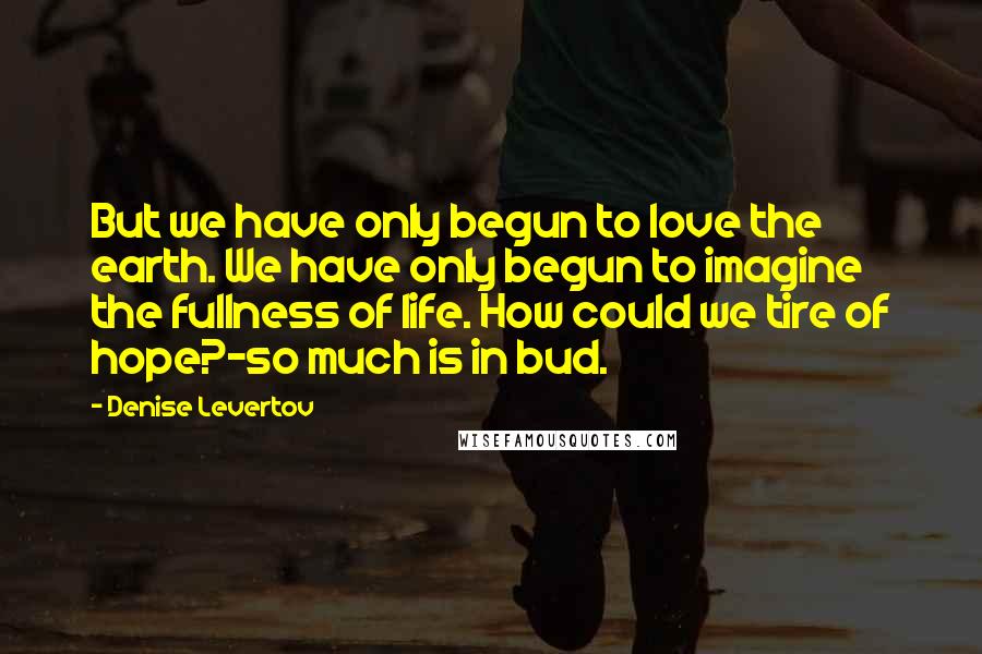 Denise Levertov Quotes: But we have only begun to love the earth. We have only begun to imagine the fullness of life. How could we tire of hope?-so much is in bud.