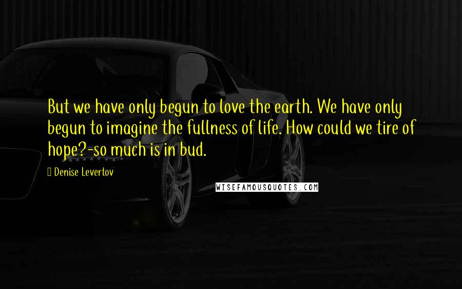Denise Levertov Quotes: But we have only begun to love the earth. We have only begun to imagine the fullness of life. How could we tire of hope?-so much is in bud.